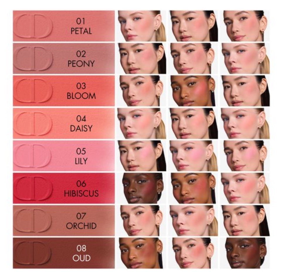 DIOR BLUSH SOFT FILTER