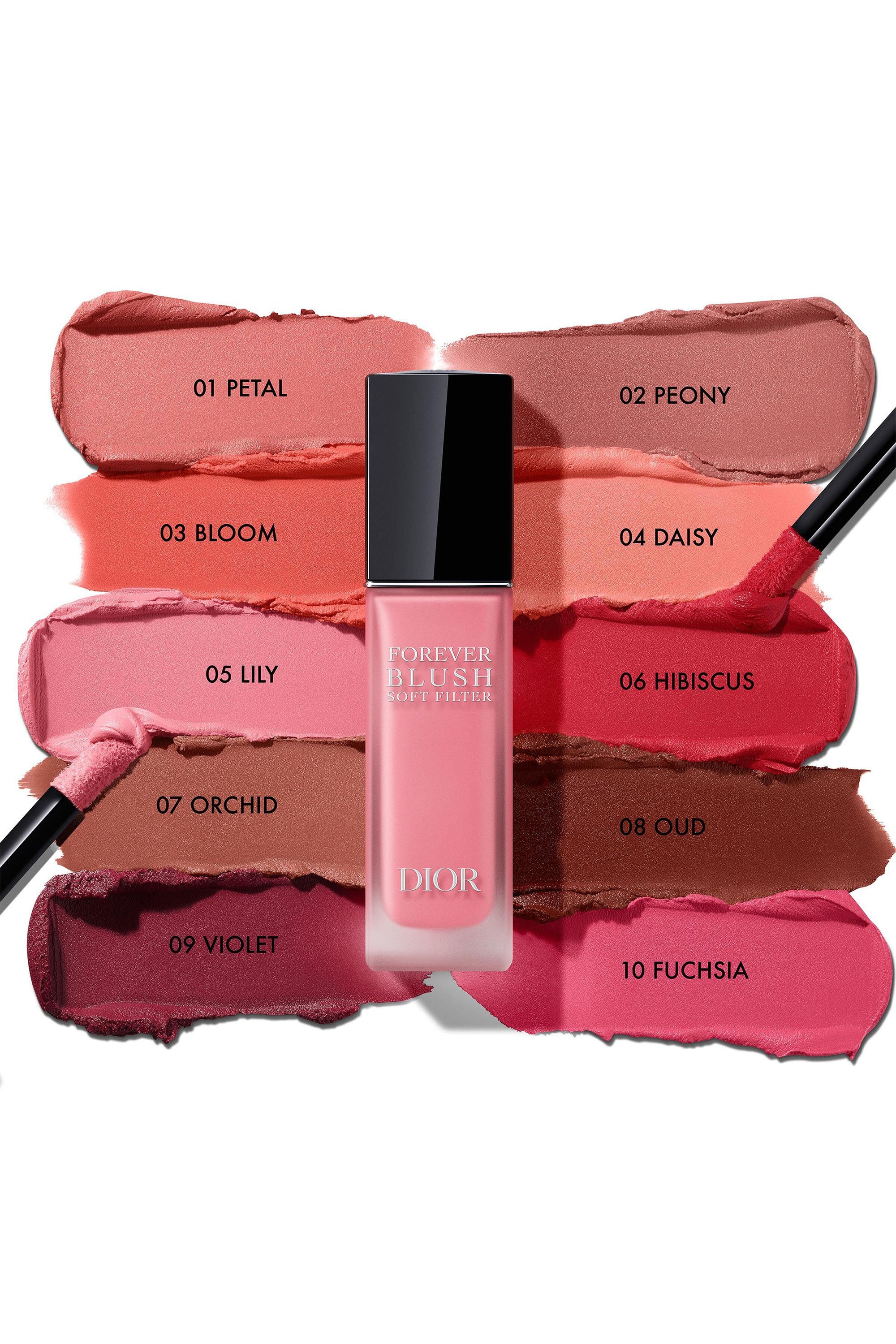 DIOR BLUSH SOFT FILTER