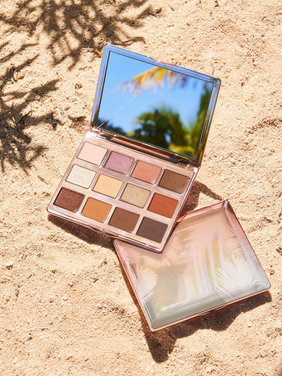 Tarte Amazonian clay palette